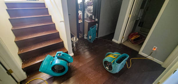 Best Flood restoration services  in Rexland Acres, CA