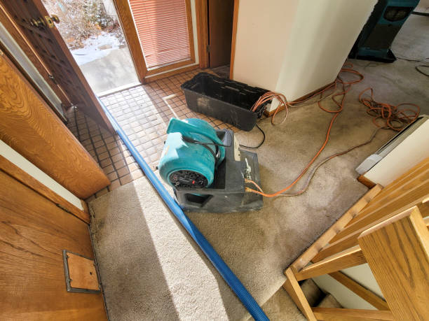 Best Water damage restoration experts  in Rexland Acres, CA