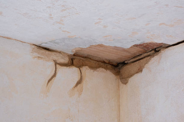 Best Water damage restoration near me  in Rexland Acres, CA