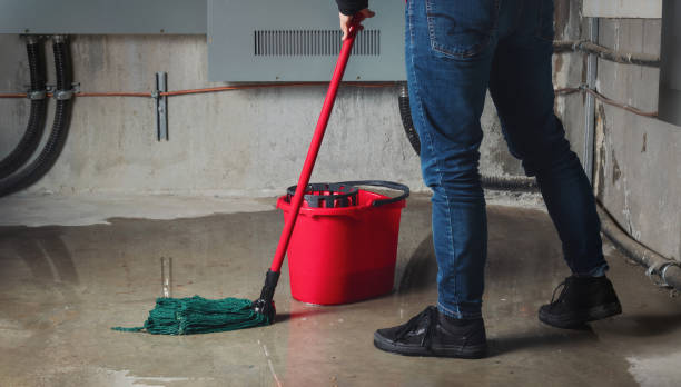 Best Fire Damage Restoration  in Rexland Acres, CA