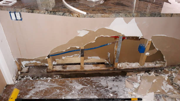 Best Water damage restoration cost  in Rexland Acres, CA