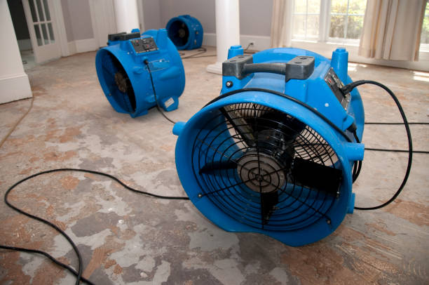 Best Emergency water damage restoration  in Rexland Acres, CA