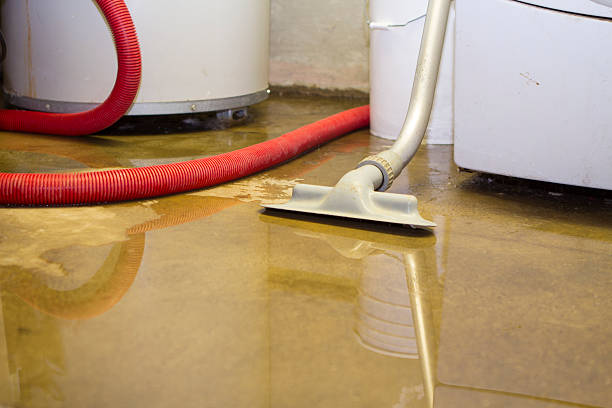 Best Residential water damage restoration  in Rexland Acres, CA
