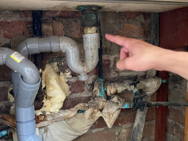 Best Water damage restoration company  in Rexland Acres, CA