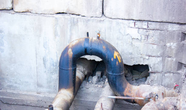 Best 24/7 water damage repair  in Rexland Acres, CA