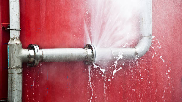 Best Carpet water damage restoration  in Rexland Acres, CA