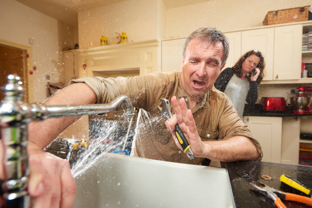 Best Professional water damage repair  in Rexland Acres, CA
